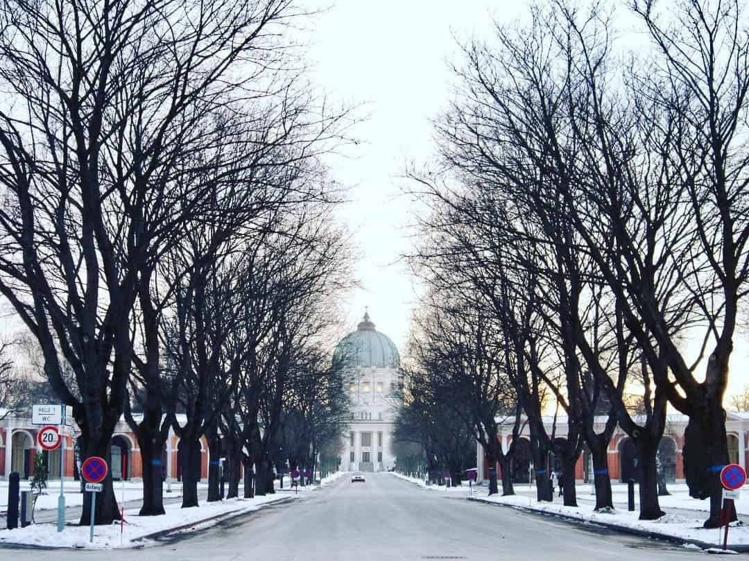 Blick auf die Karl-Borromäus-Kirche in Wien, mit kahlen Bäumen, einer verschneiten Straße und winterlicher Atmosphäre